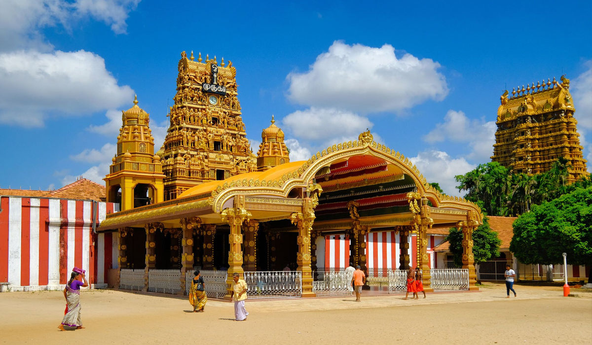 Trail Lanka Travels - gallery 1