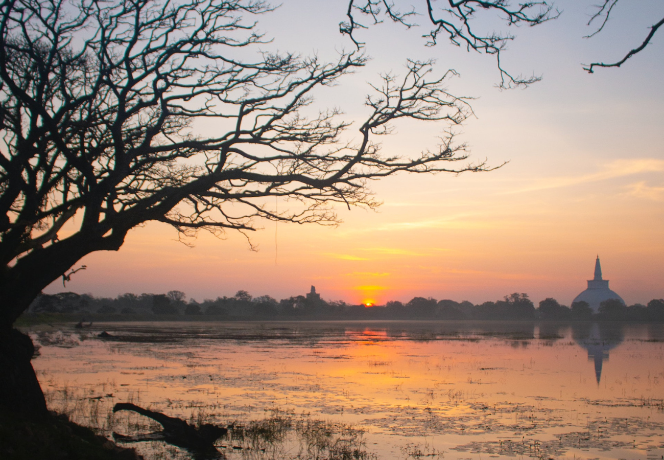 Trail Lanka Travels - gallery 2 